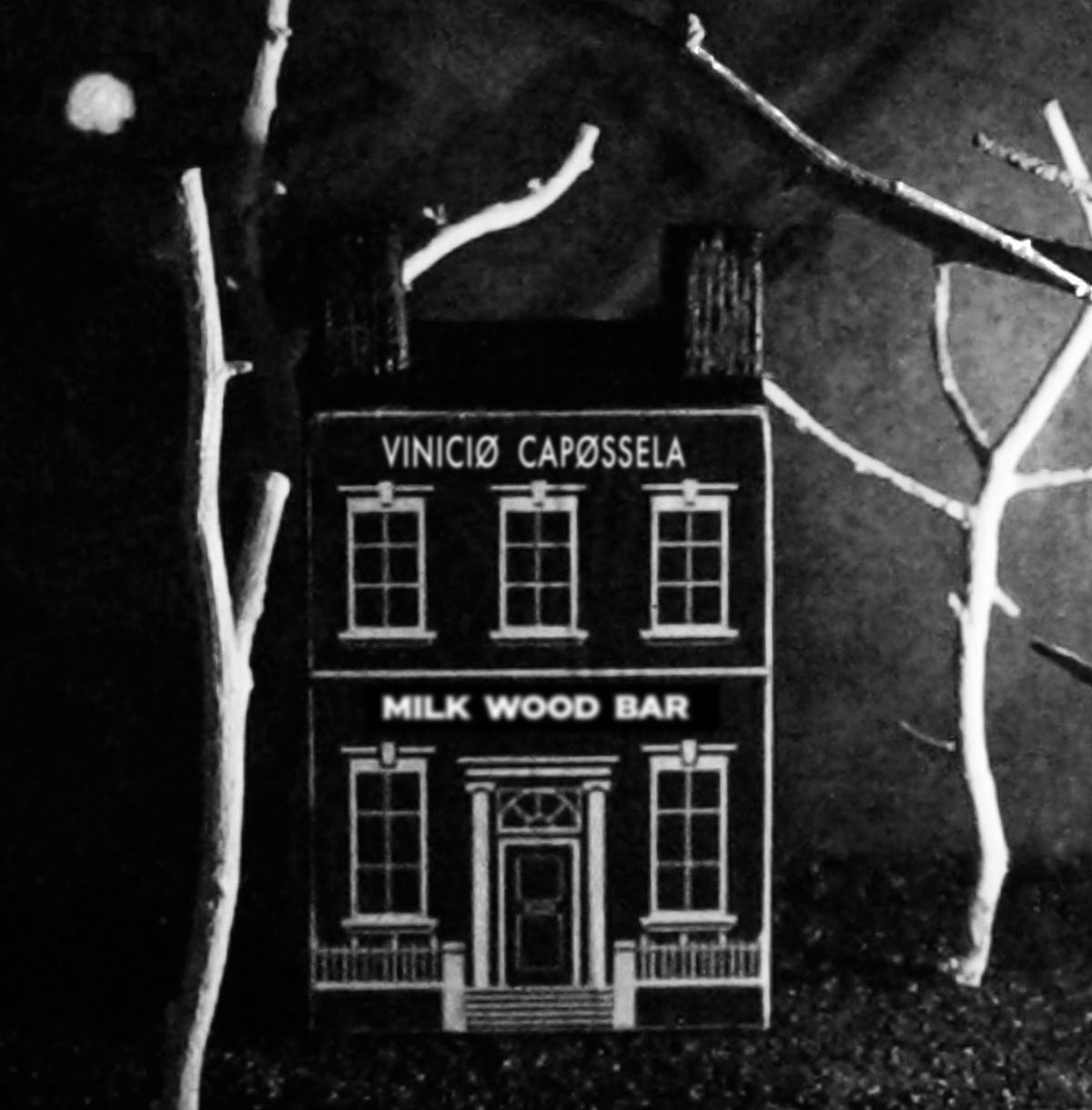 Vinicio Capossela