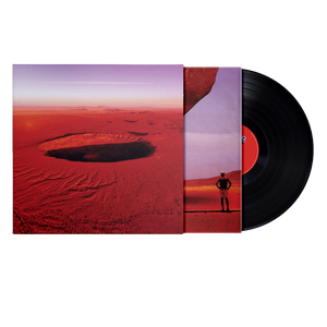 Anatomia di uno schianto prolungato | Vinile + Poster