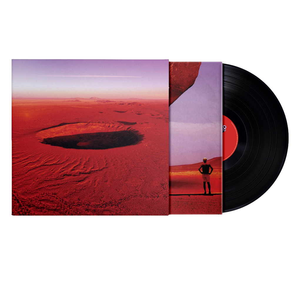 Anatomia di uno schianto prolungato | Vinile + Poster