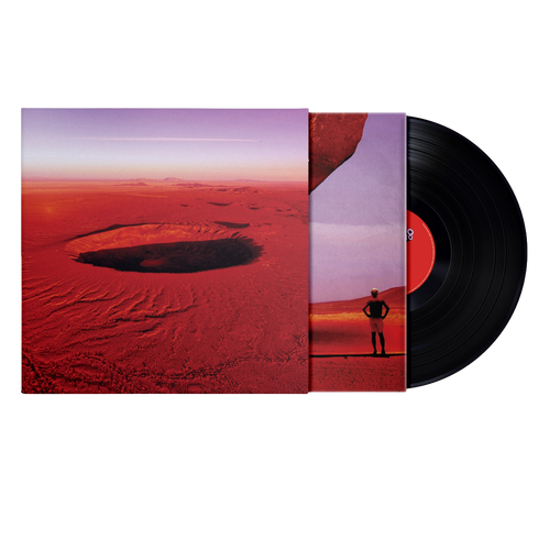 Anatomia di uno schianto prolungato | Vinile + Poster