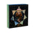 box di florence and the machine