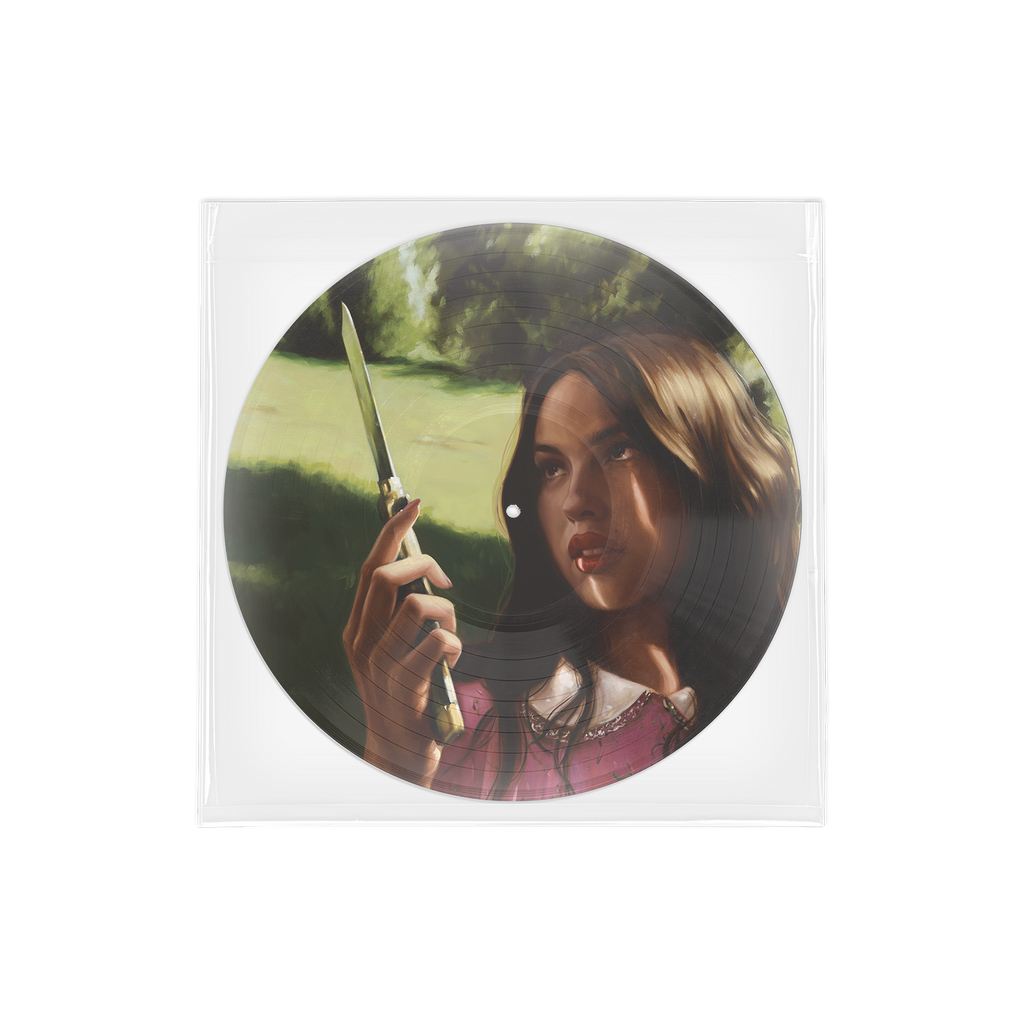 you seem pretty sad for a girl so in love | Vinile Picture Disc 'carve our names'