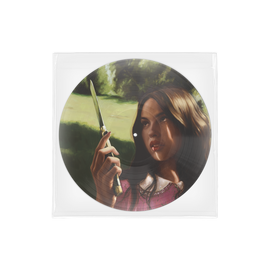 you seem pretty sad for a girl so in love | Vinile Picture Disc 'carve our names' cover