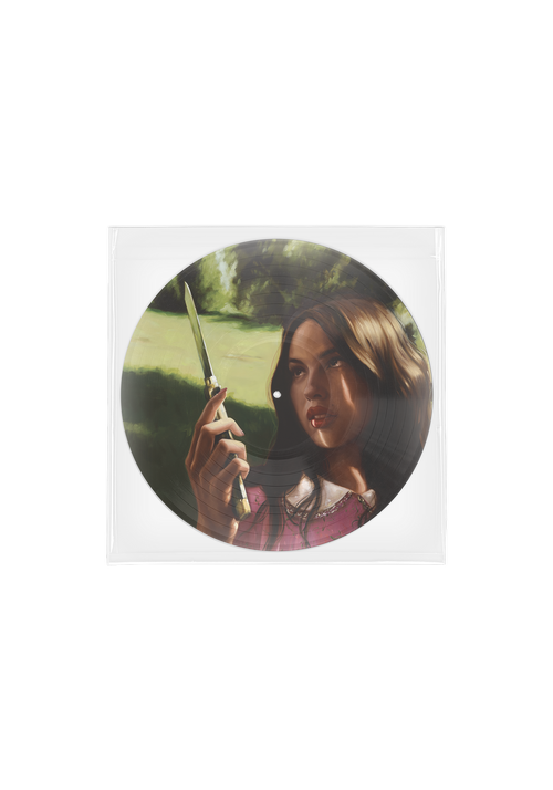 you seem pretty sad for a girl so in love | Vinile Picture Disc 'carve our names'