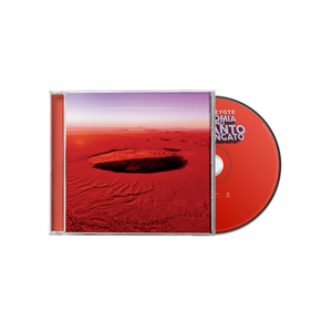 Anatomia di uno schianto prolungato | CD