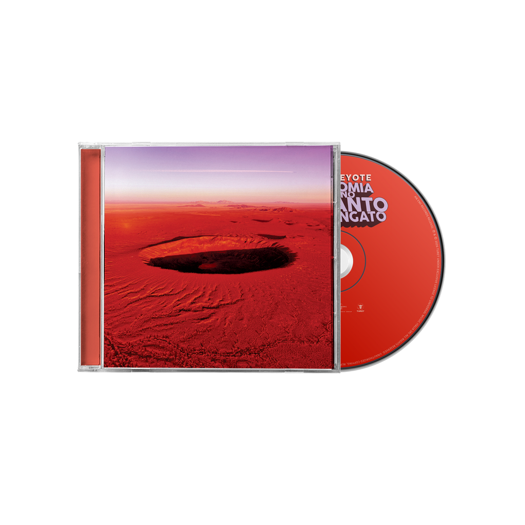 Anatomia di uno schianto prolungato | CD