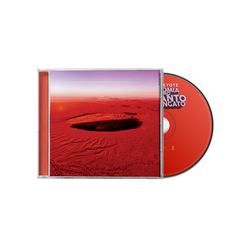 Anatomia di uno schianto prolungato | CD