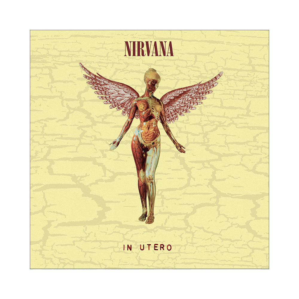 copertina il contenuto del super deluxe box di5 cd ristampa in occasione del 30esimo anniversario di in utero dei nirvana