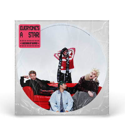 picture disc vinile five seconds of summers band composta da 4 ragazzi con fotografia stampata su LP inserito in busta di plastica trasparente con sticker
