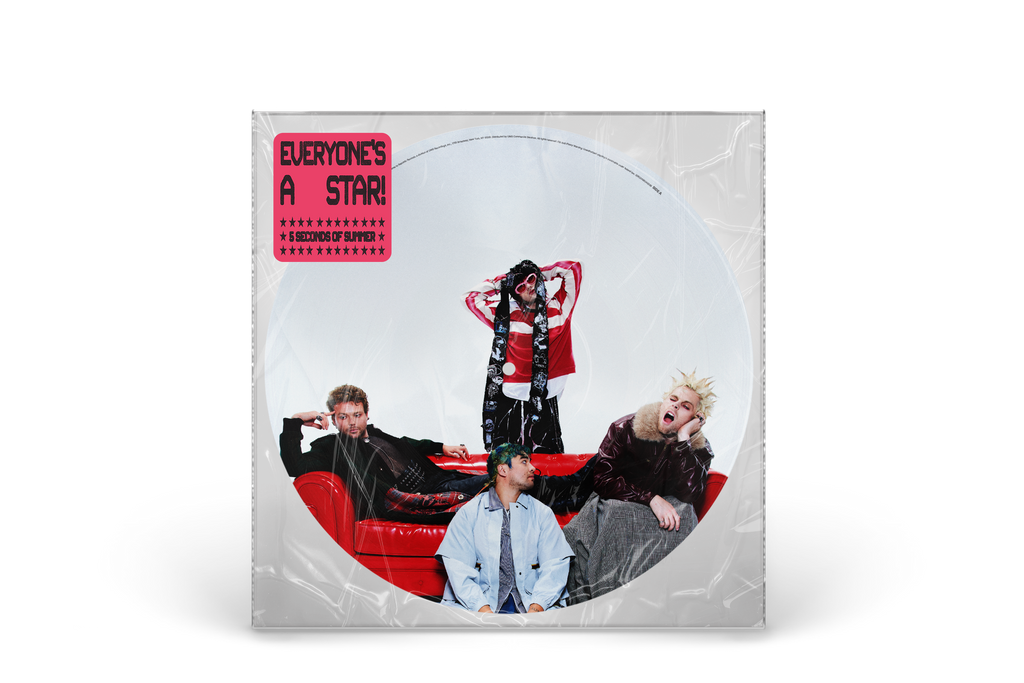 picture disc vinile five seconds of summers band composta da 4 ragazzi con fotografia stampata su LP inserito in busta di plastica trasparente con sticker