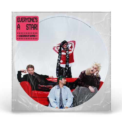 Everyone’s A Star! | Vinile Picture Disc