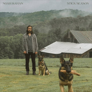 Stick Season | Doppio Vinile