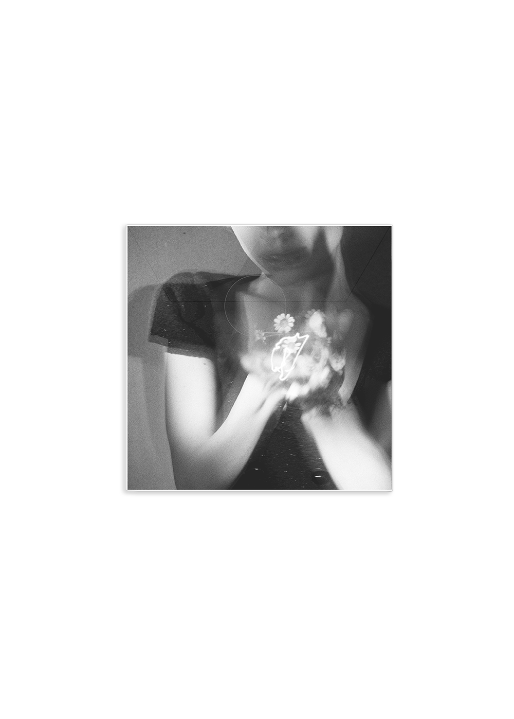 petal | Vinile Picture Disc Esclusivo
