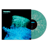 CELEBRATION | Vinile Splatter Limited Edition