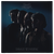 Palace for the People | CD