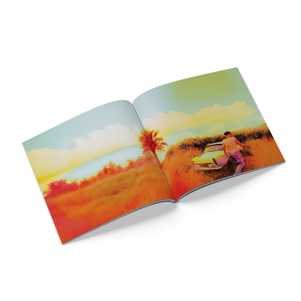 How Did I Get Here? | CD Alternative Cover