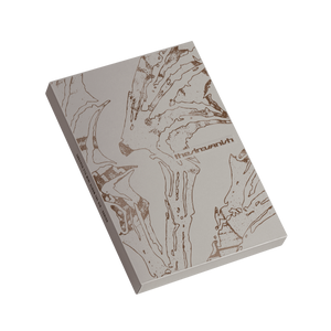 The Sin : Vanish | CD Afterlight Version