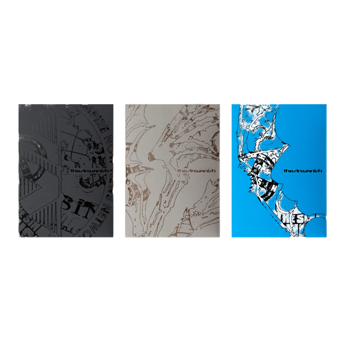 The Sin : Vanish | CD Fugitives Version