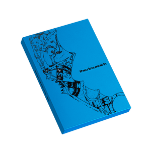 The Sin : Vanish | CD Storm Version