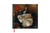 Everybody Scream | CD Chamber Edition