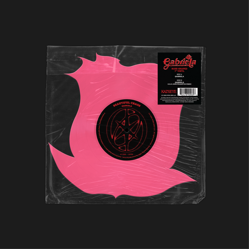 busta trasparente in cui è inserito il vinile singolo 45 giri a forma di rosa del singolo hands up gabriela