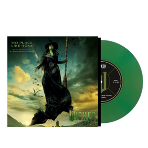 Vinyl record with cover featuring a witch on a broomstick against a colorful sky.