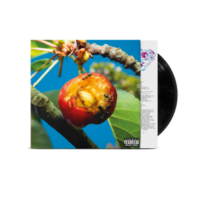mecna nuovo album discordia, armonia e altri stati d'animo in vinile nero con copertina fotografica con scatto di una ciliegia morsa e mangiata dalle formiche