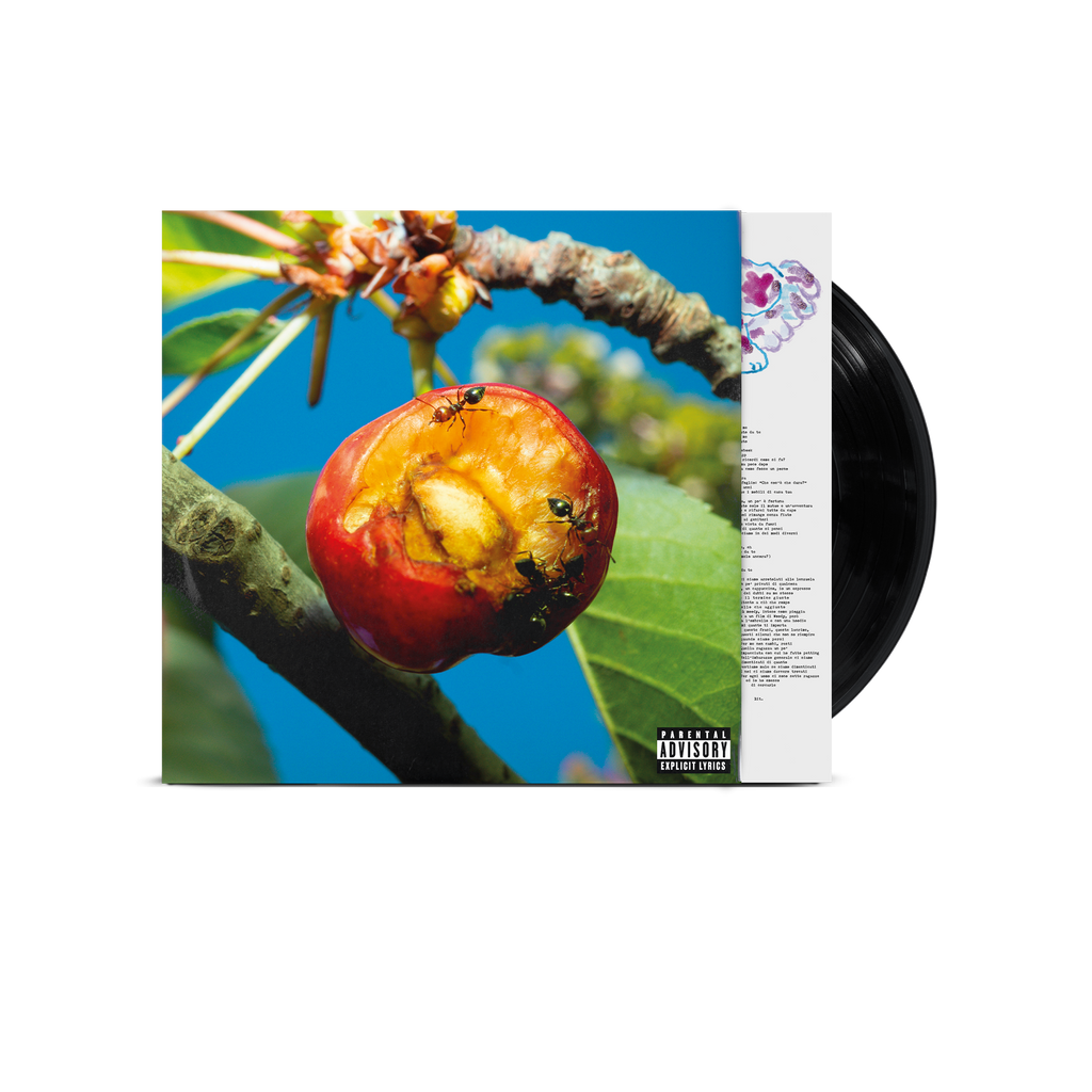mecna nuovo album discordia, armonia e altri stati d'animo in vinile nero con copertina fotografica con scatto di una ciliegia morsa e mangiata dalle formiche