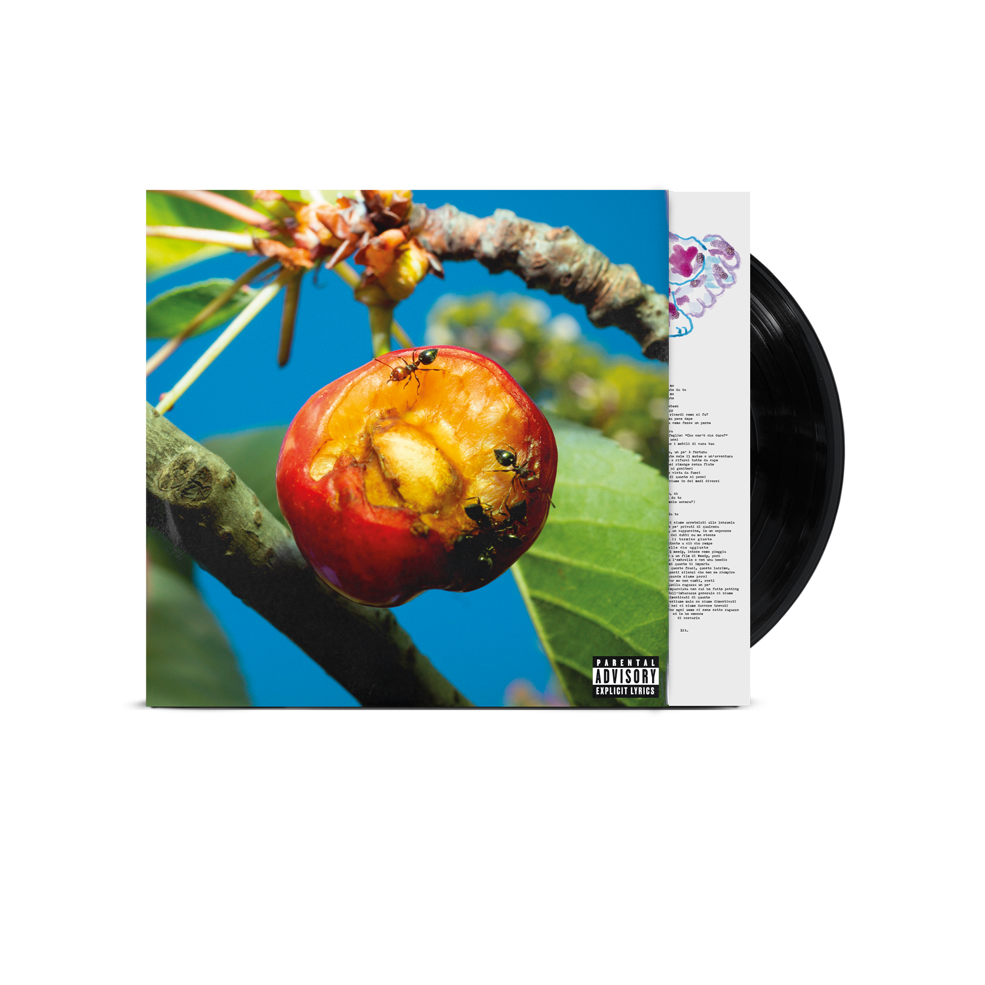 mecna nuovo album discordia, armonia e altri stati d'animo in vinile nero con copertina fotografica con scatto di una ciliegia morsa e mangiata dalle formiche