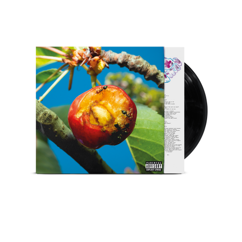 mecna nuovo album discordia, armonia e altri stati d'animo in vinile nero con copertina fotografica con scatto di una ciliegia morsa e mangiata dalle formiche