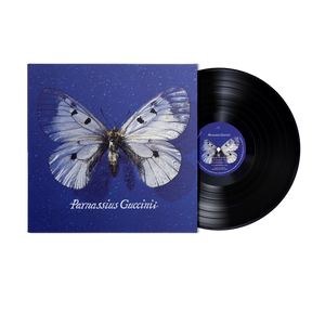 Parnassius Guccini | Vinile