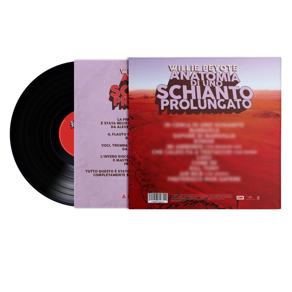 Anatomia di uno schianto prolungato | Vinile + Poster