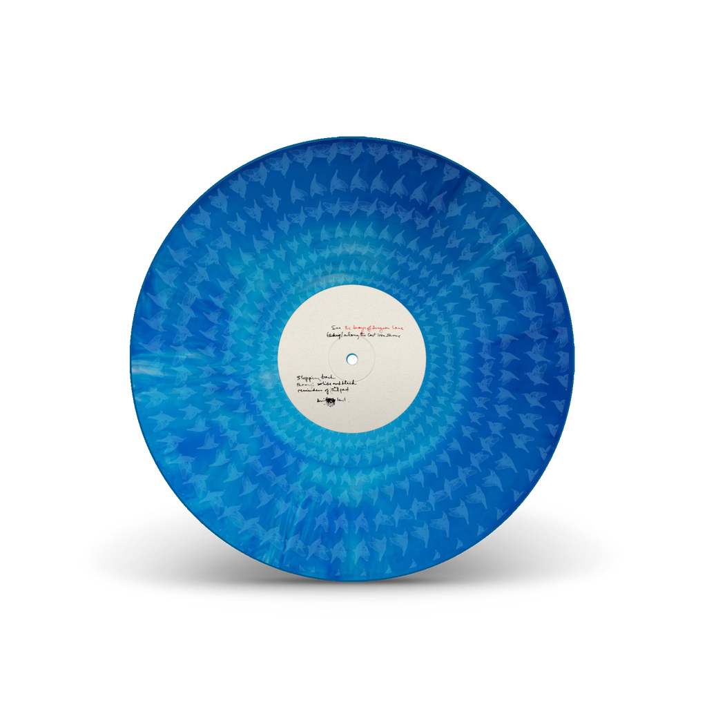 The Boys of Dungeon Lane (Special Edition) | Doppio Vinile Colorato
