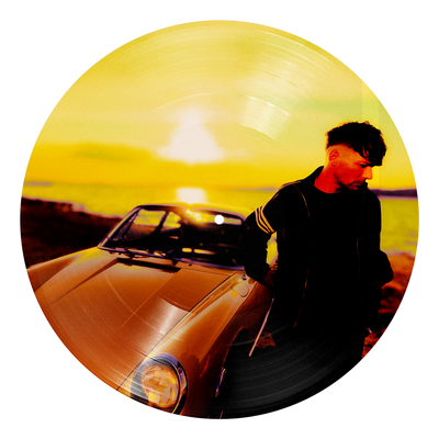 How Did I Get Here? | Vinile Picture Disc