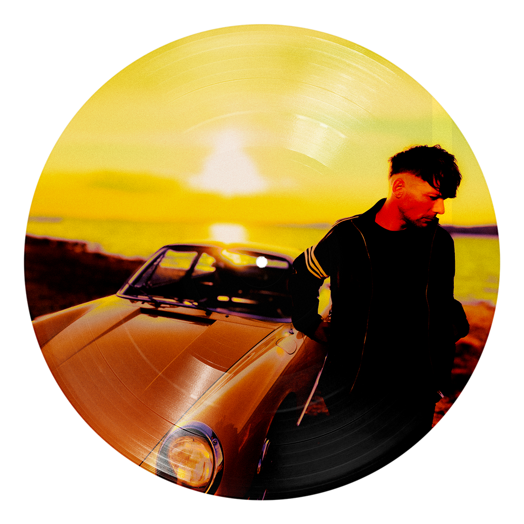 How Did I Get Here? | Vinile Picture Disc