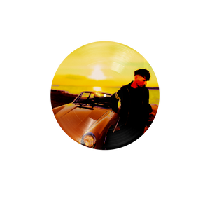 How Did I Get Here? | Vinile Picture Disc