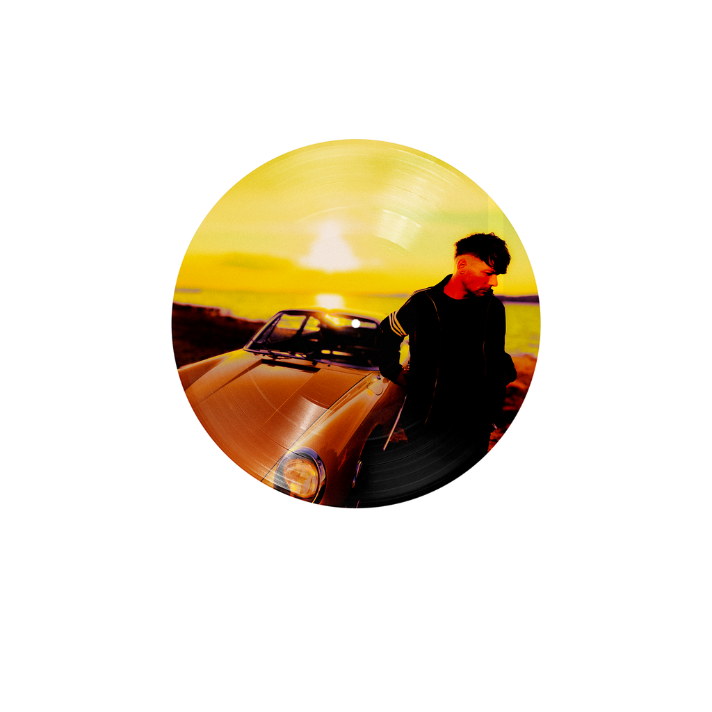 How Did I Get Here? | Vinile Picture Disc