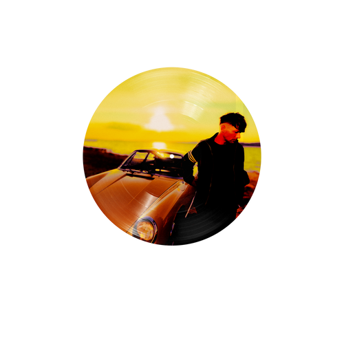 How Did I Get Here? | Vinile Picture Disc