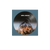Abba, Arrival | Vinile Picture Disc 1