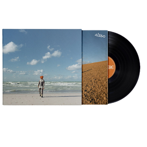 Alsogood, Elsewhere | Vinile + Card arancione argilla 1