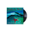 Cesare Cremonini, Stella di Mare | Vinile 45 giri 1