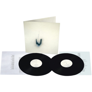 David Sylvian & Nine Horses, Snow Borne Sorrow | Doppio Vinile 1