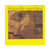 Amerigo | Vinile