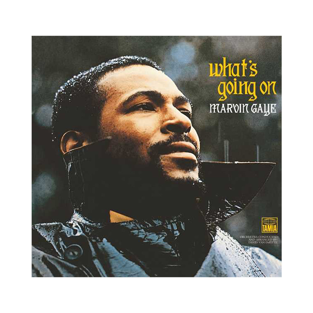 What’s Going On | Vinile