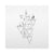 A Dawning | CD