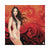 RED LIGHT | CD + Fascetta