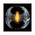 Dark Matter | LP + Vinile 7'' Singolo