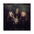 Bohemian Rhapsody / I’m In Love With My Car | Vinile 12" Colorato