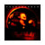 Superunknown | Doppio Vinile