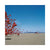 Wake Up And Smell The Coffee | Vinile Trasparente